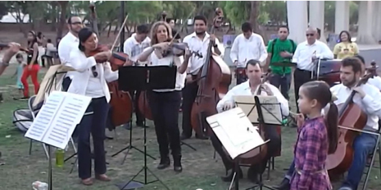 Salvemos la Orquesta Sinaloa de las Artes.
